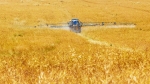 Agrostim Dünger