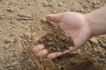 Agrostim Pflanzenhilfsmittel und Bodenhilfsstoffe